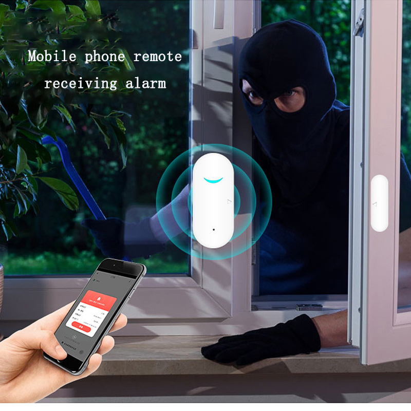 Raamgarage Draadloze sensor Af - Wireless Door Sensor recensie en prijs